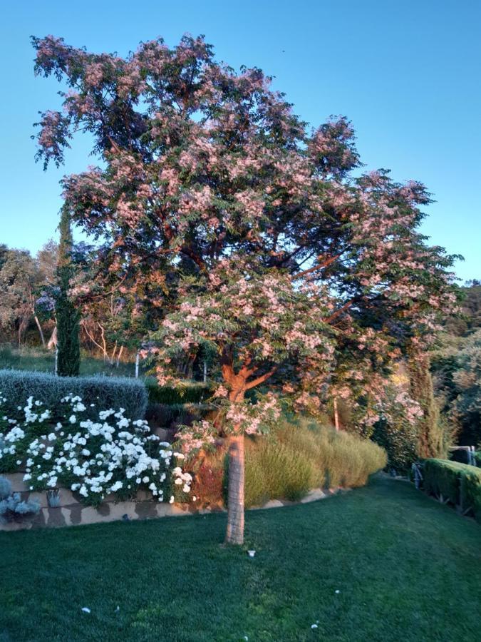Piccolo Relais Galletto di Marzo Paciano Esterno foto