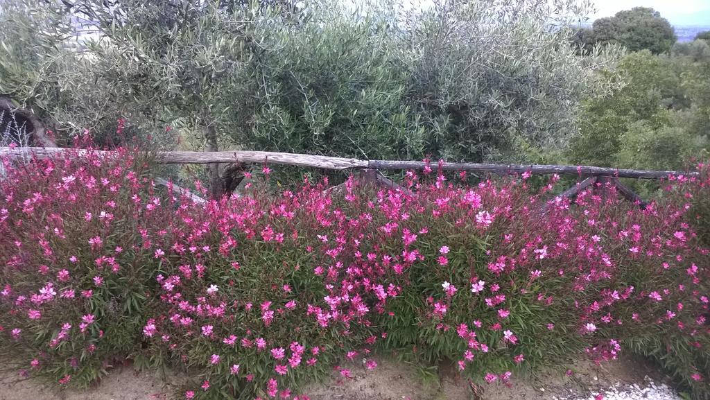 Piccolo Relais Galletto di Marzo Paciano Esterno foto