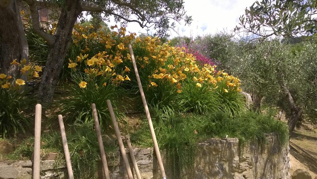 Piccolo Relais Galletto di Marzo Paciano Esterno foto