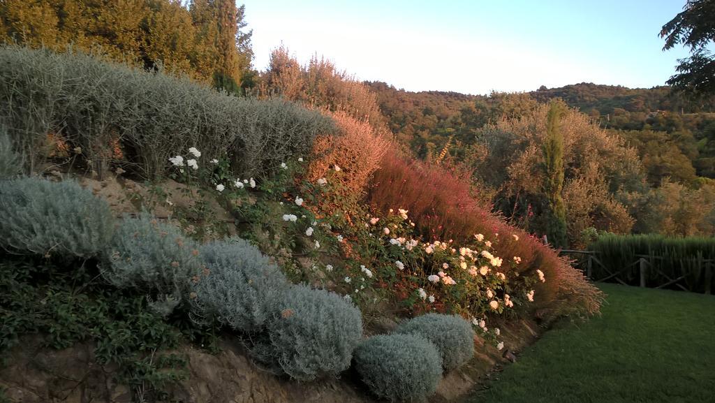 Piccolo Relais Galletto di Marzo Paciano Esterno foto
