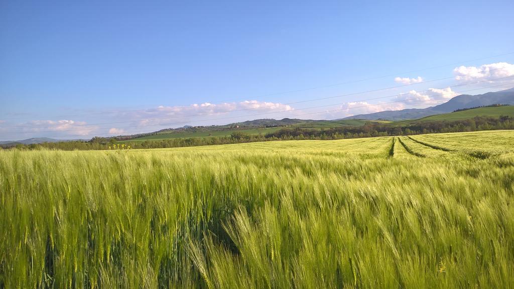 Piccolo Relais Galletto di Marzo Paciano Esterno foto